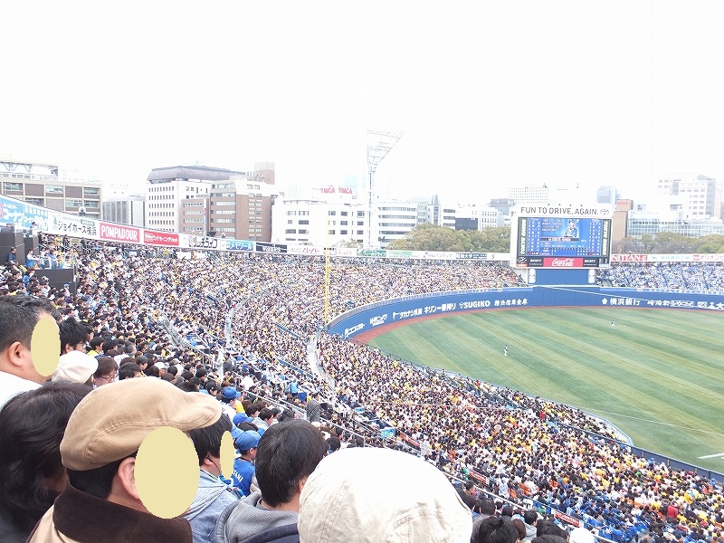 横浜スタジアム3塁側DB応援席:内野指定席Bからの景色眺め